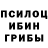 Псилоцибиновые грибы Psilocybe ksxql ksxql
