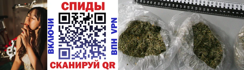 Бутират буратино  Шали 