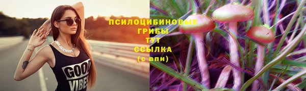 спайс Липки