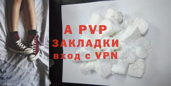 гашик Магас