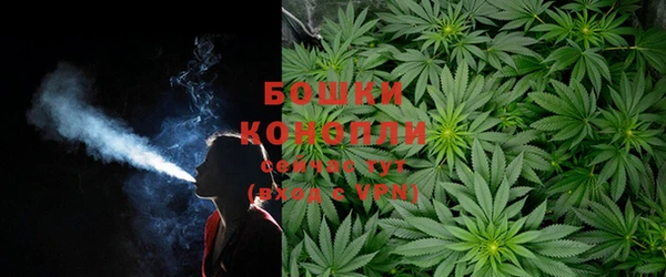 мдпв Великий Новгород