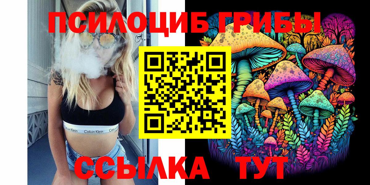 Шали  Псилоцибиновые грибы MAGIC MUSHROOMS  Галлюциногенные грибы прущие грибы  Вход с VPN 