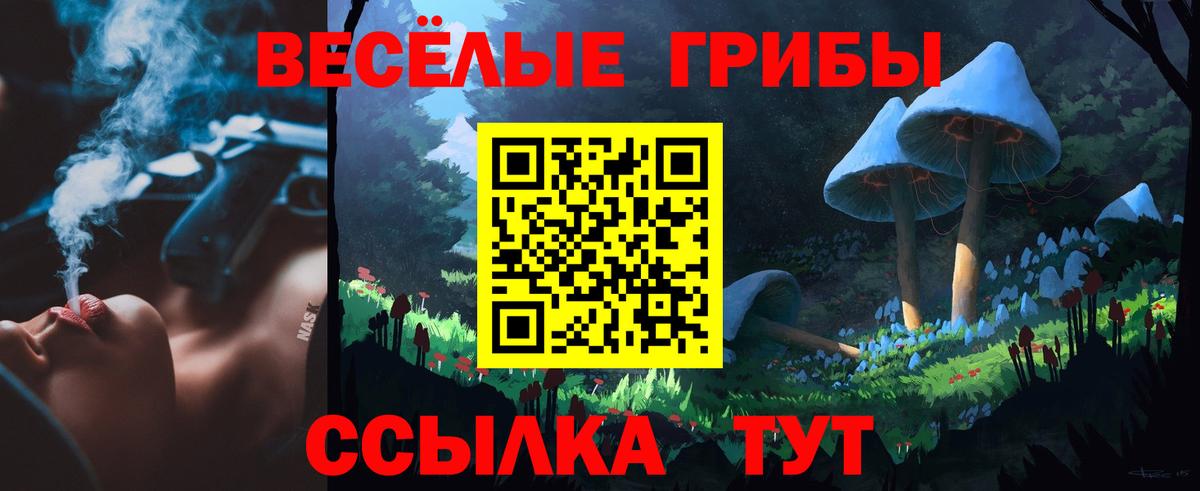 Шали  Галлюциногенные грибы Psilocybe  Вход с VPN 