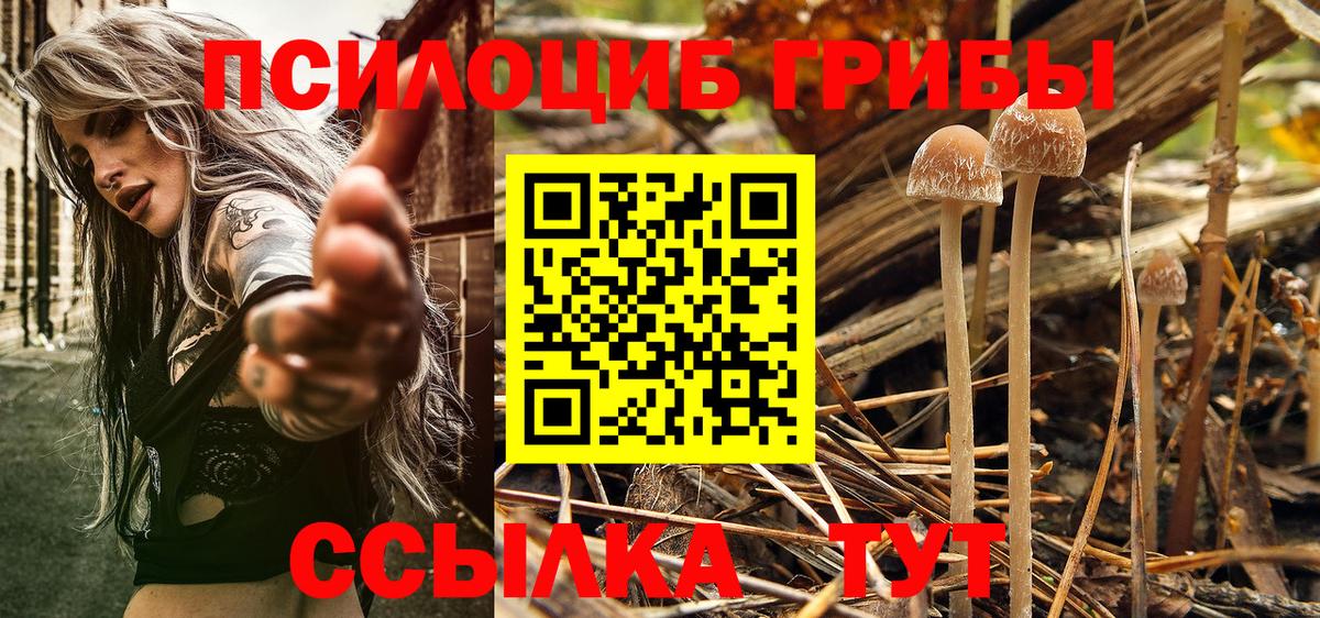 Галлюциногенные грибы GOLDEN TEACHER Шали
