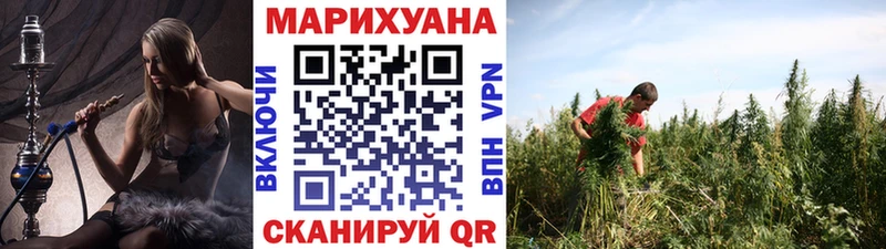 Каннабис сатива Шали